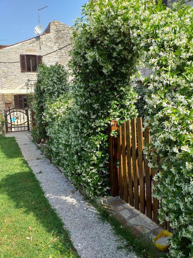Rade Stancijeta Apartments Novigrad  Exterior photo